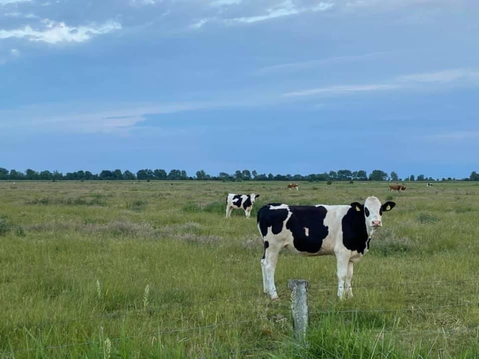 Ferienwohnung Eiderblick Hennstedt  Exteriér fotografie
